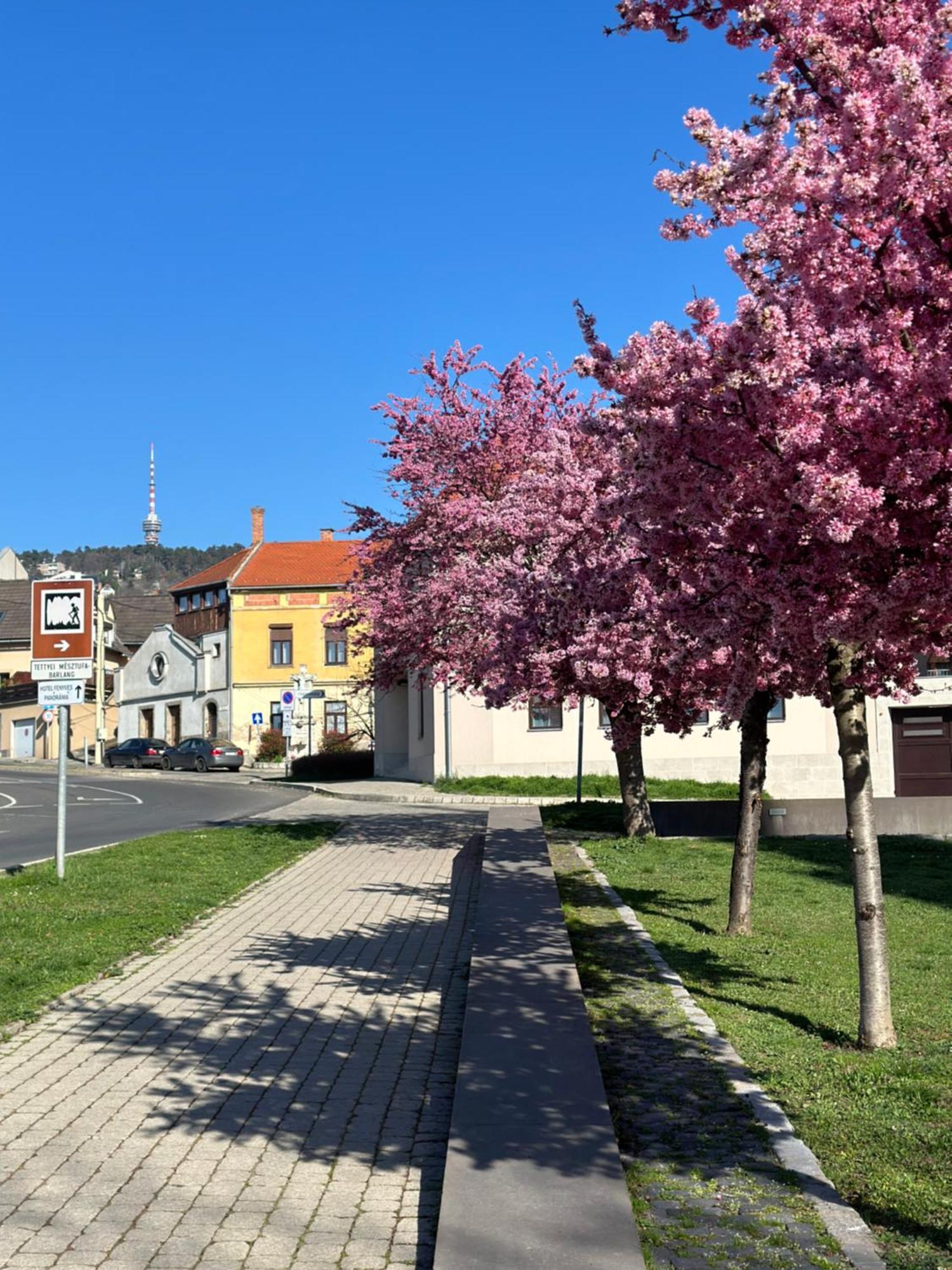 M18 - Csak Egy Lepes A Toertenelmi Belvaros - Free Parking Beci Exterior foto
